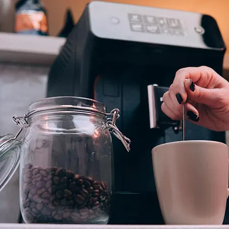 Roots Sequoia Braşov