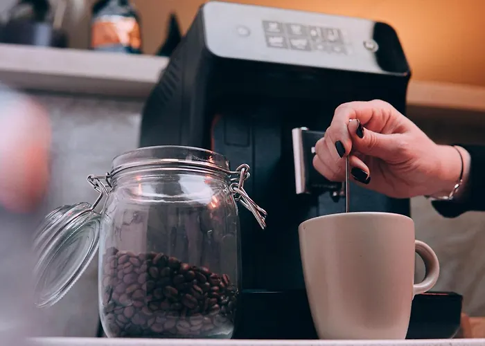 Roots Sequoia براشوف